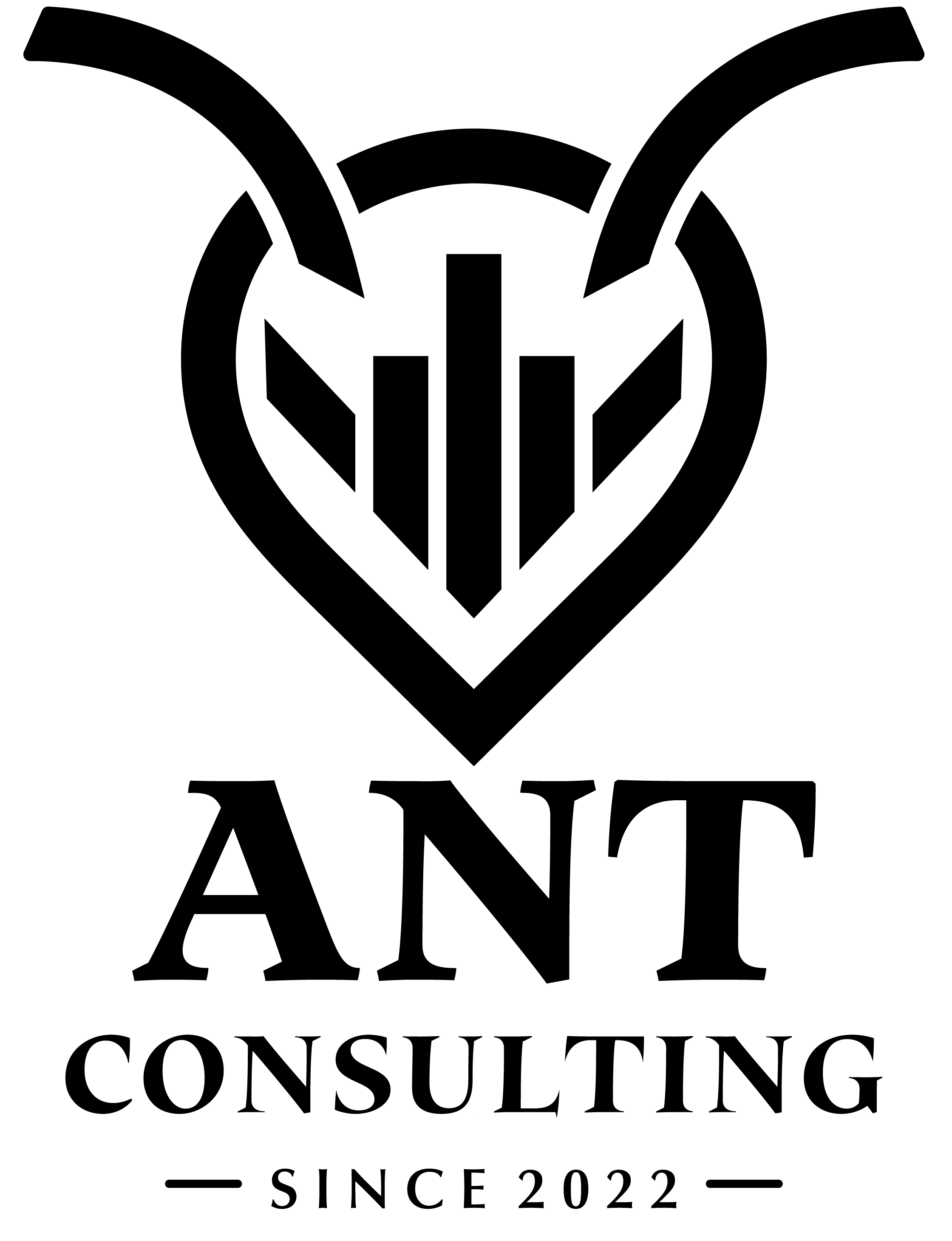ANT Consulting